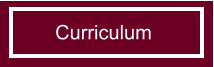 Curriculum